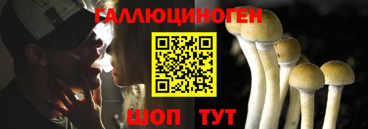 Галлюциногенные грибы ЛСД  Вход с VPN  Галлюциногенные грибы GOLDEN TEACHER  наркота  Чернушка 