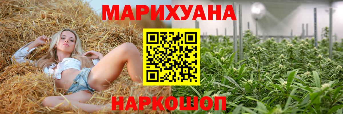Каннабис Amnesia  Вход с VPN  Каннабис AK-47  Марихуана Bruce Banner  Чернушка 
